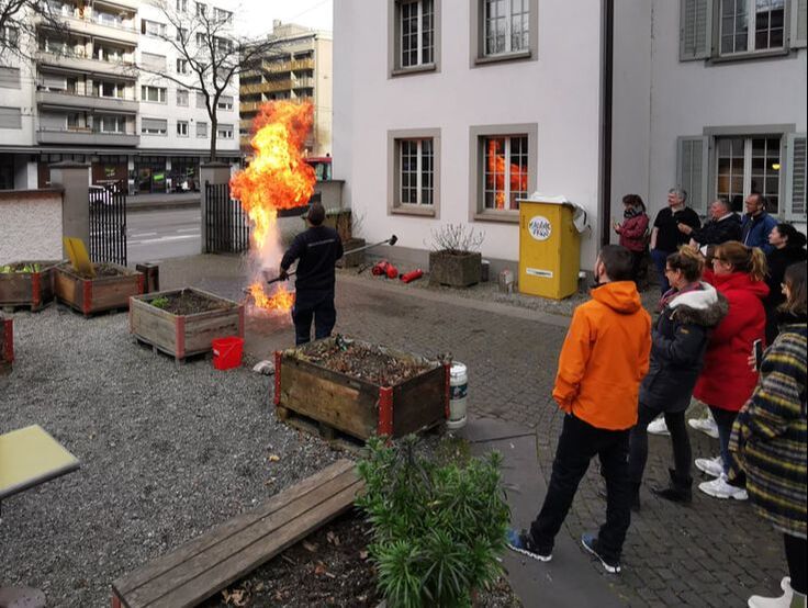 Bild